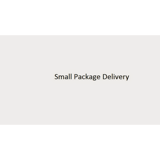 Small Package Delivery