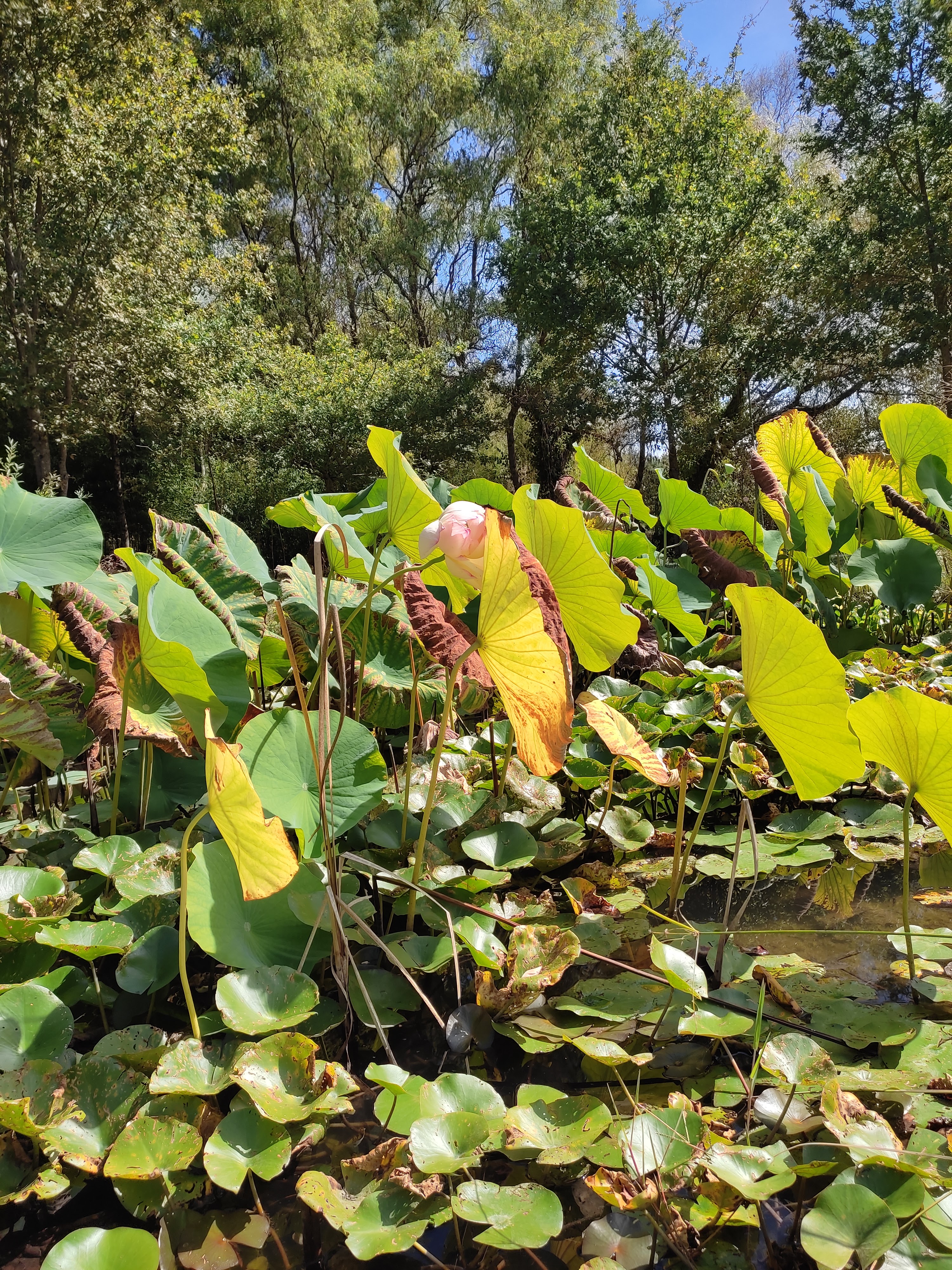 Photo n° 22 de l'avis de Nini.o fait le 22/09/2022 à 13:53