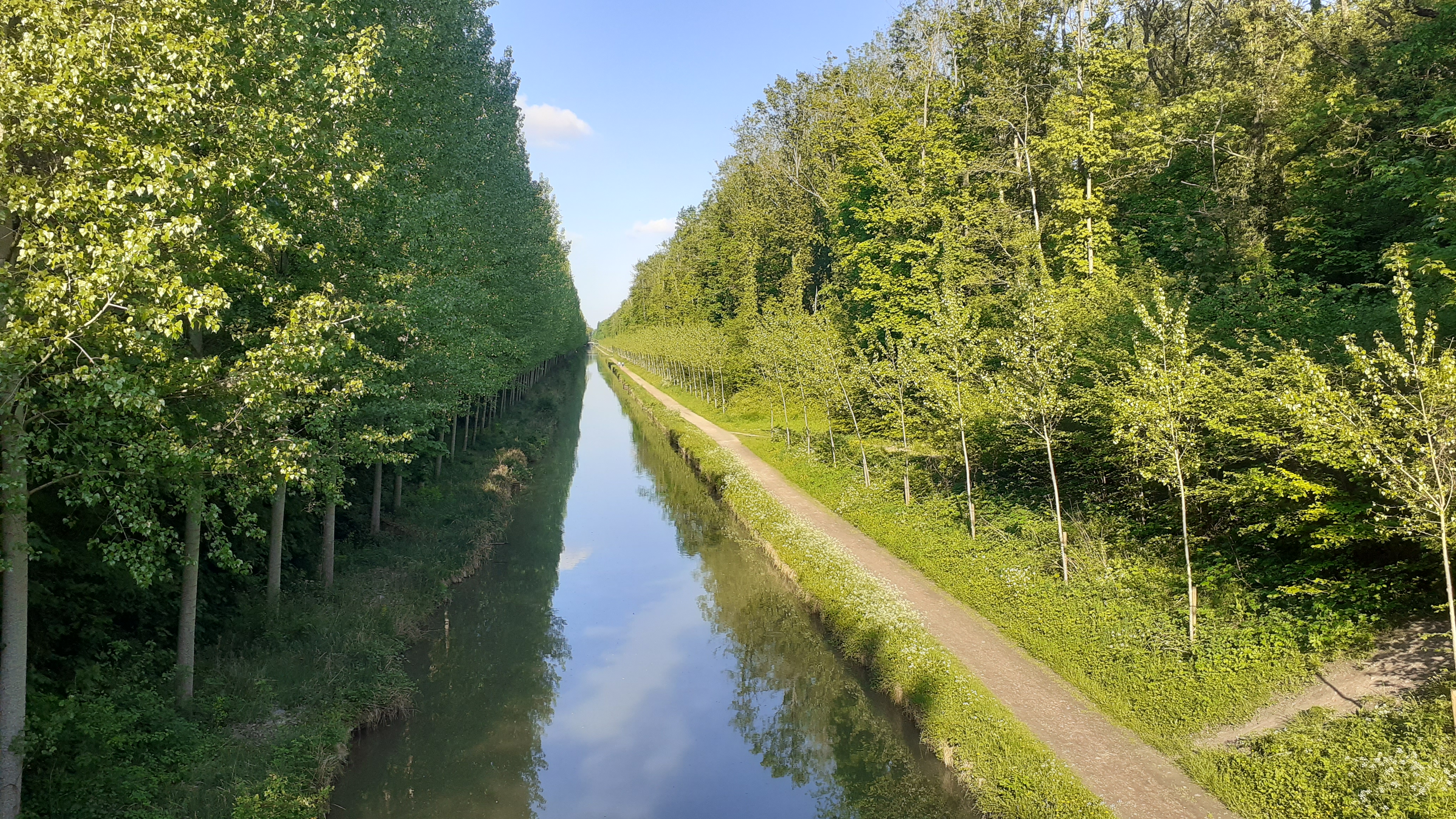 Photo n° 43 de l'avis de Michel. fait le 04/11/2019 à 16:32