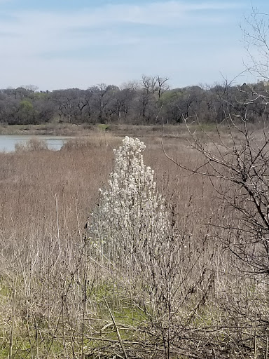 Park «River Legacy Parks East», reviews and photos, 1601 NE Green Oaks Blvd, Arlington, TX 76006, USA