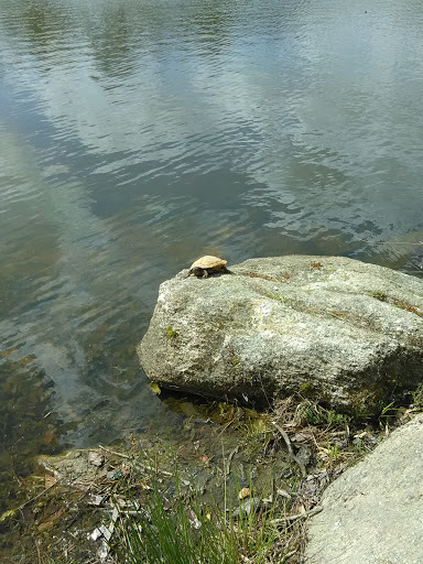 Park «Hunter Memorial Park», reviews and photos, 8830 Gurley Rd, Douglasville, GA 30134, USA