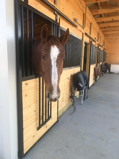 Veterinary Rehabilitation Services of Virginia image