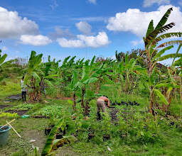 Taman Jiwa photo