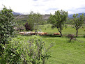 La Ferme Des Neufs Couleurs Selonnet