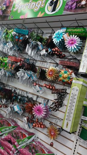 Dollar Store «Dollar Tree», reviews and photos, 120 N Brookwood Ave, Hamilton, OH 45013, USA