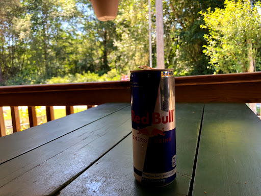 Campground «Hard Rain Cafe», reviews and photos, 5763 Upper Hoh Rd, Forks, WA 98331, USA