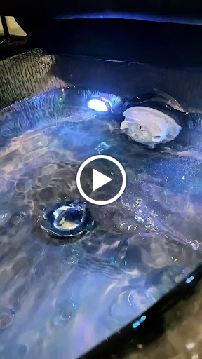 Beauty Salon «Bellezza Beauty Bar», reviews and photos, 1600 W Call St #106, Tallahassee, FL 32304, USA