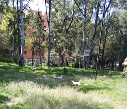 Parque de las Montañas photo