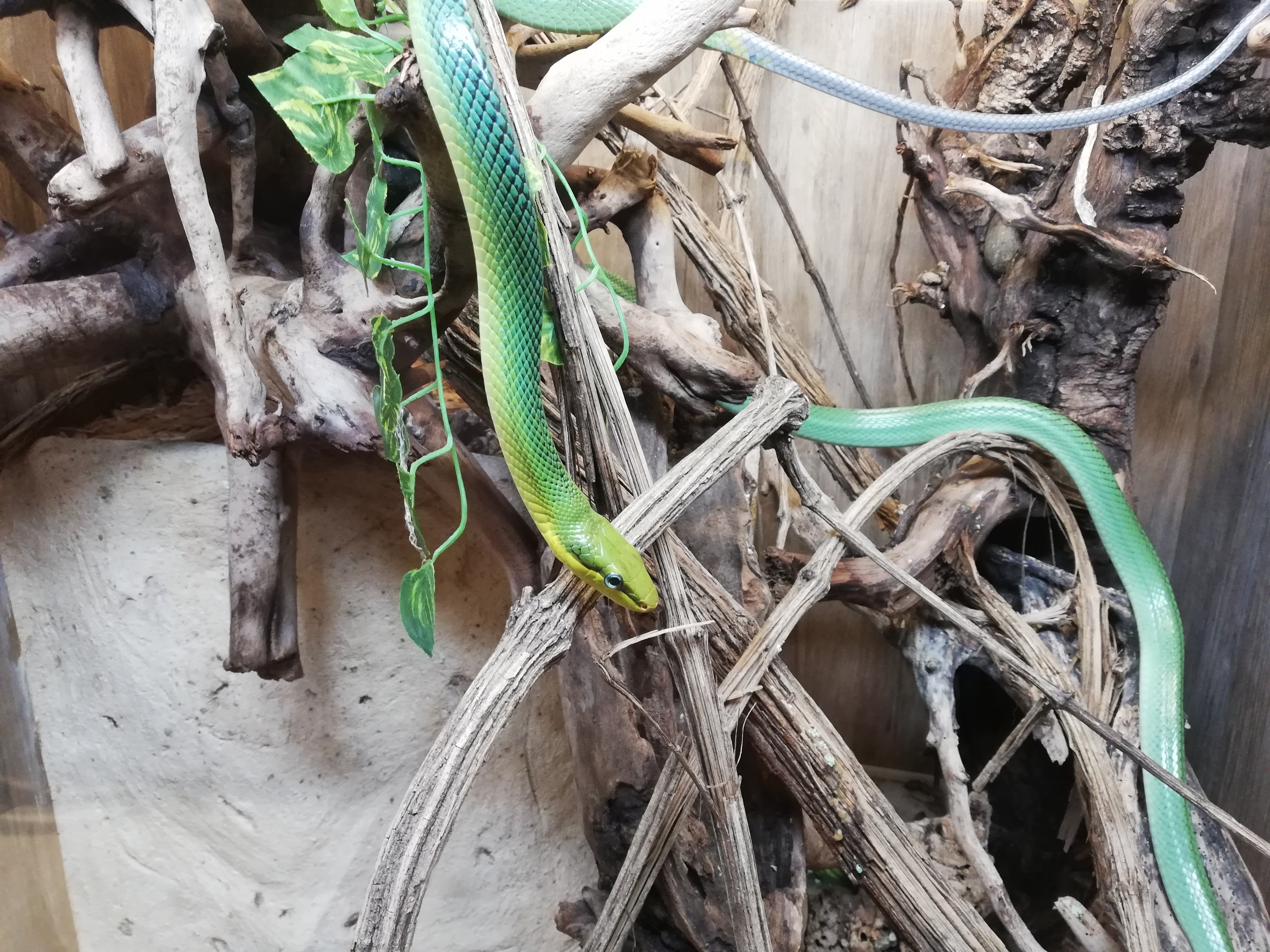 Photo n° 3 de l'avis de Marcel.a fait le 26/07/2020 à 10:05