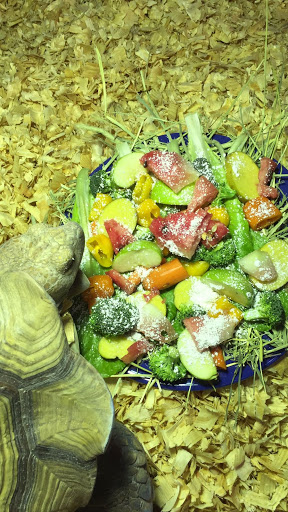 Pet Store «Exotic Tropical Petworld LLC.», reviews and photos, 1716 W Hackberry Ave, McAllen, TX 78501, USA