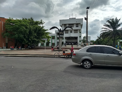 Alcaldia Municipal de Arauca