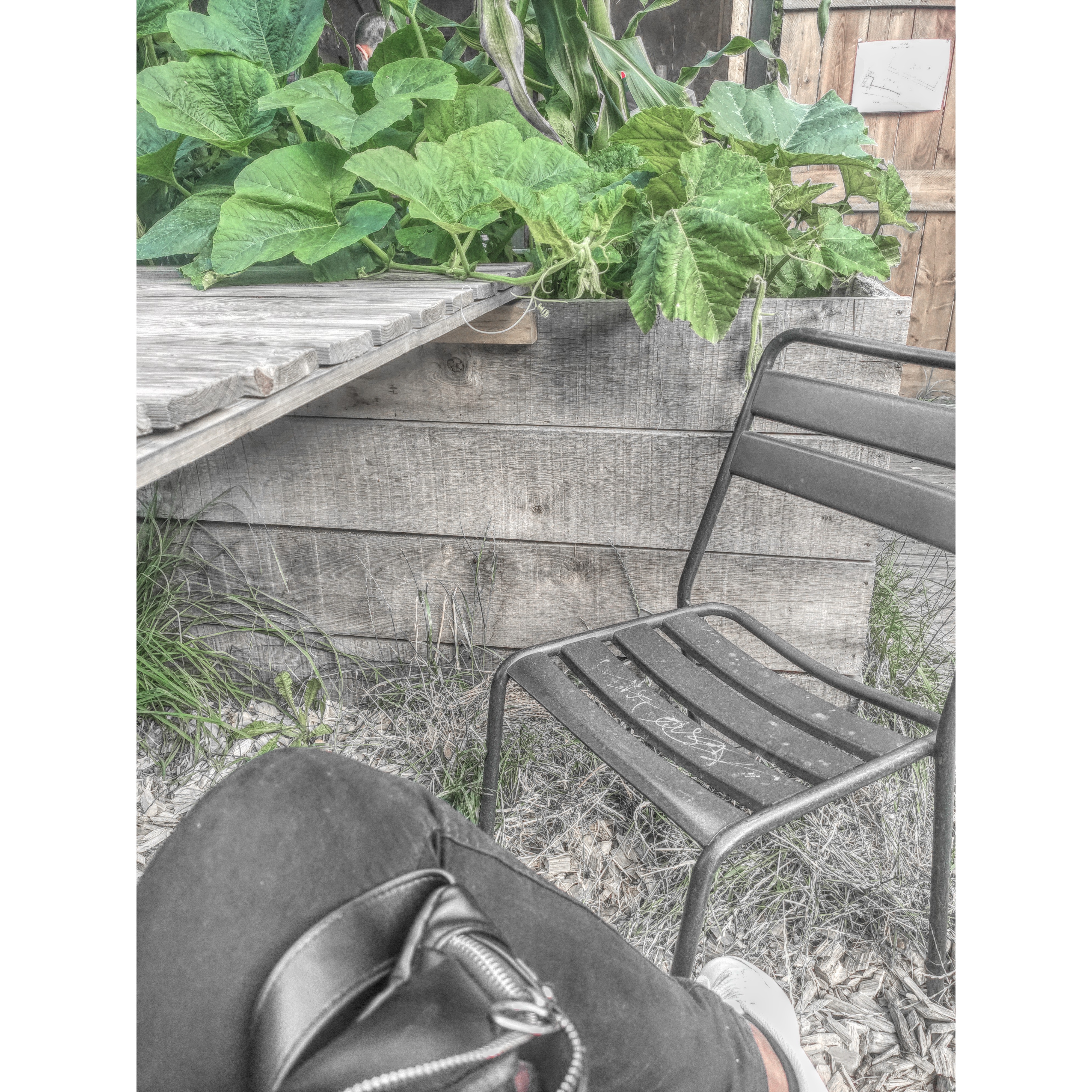 Photo n° 1 de l'avis de Schneidine.h fait le 05/08/2020 à 06:47