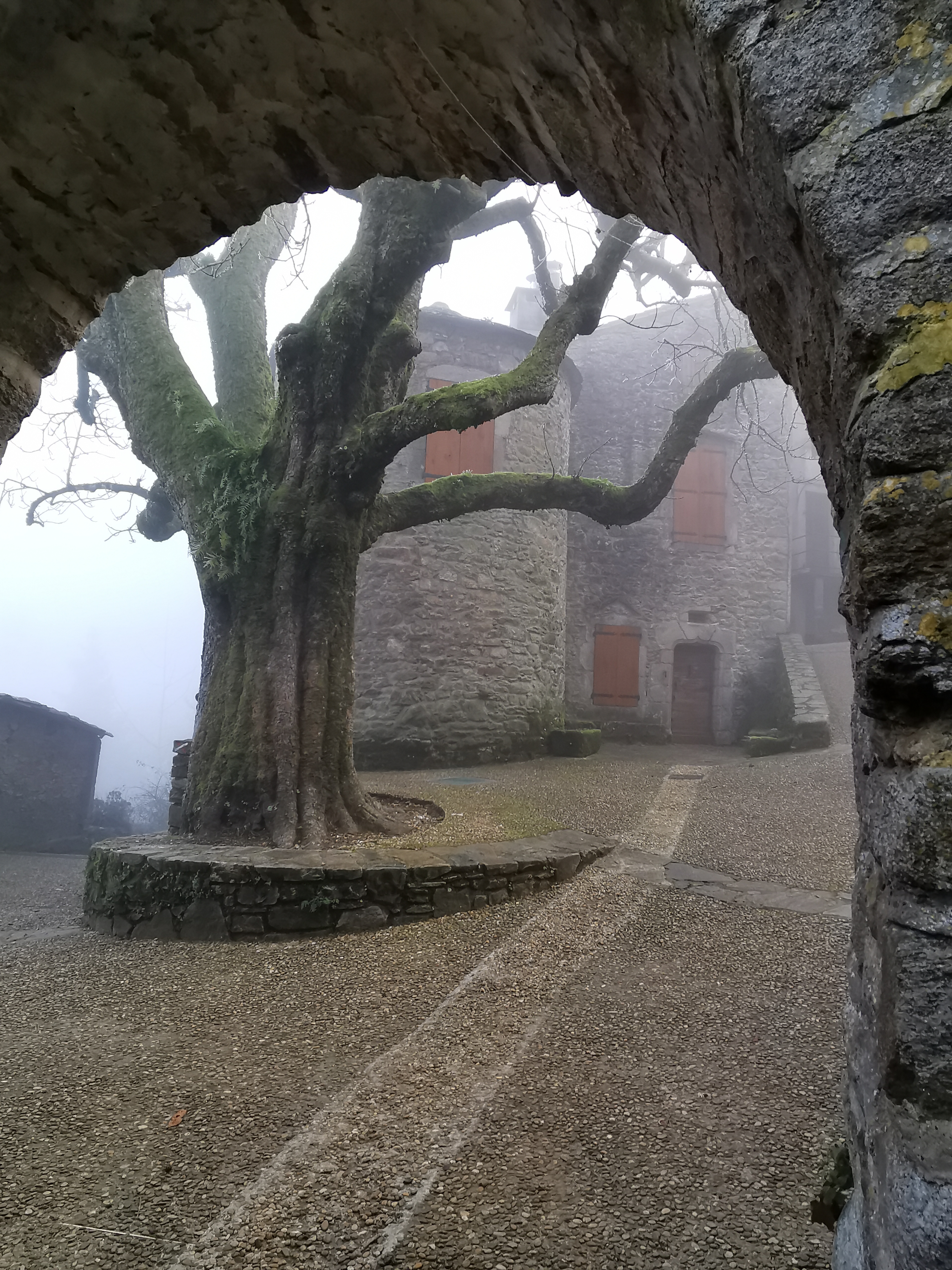 Photo n° 4 de l'avis de Claire.e fait le 29/01/2022 à 17:09