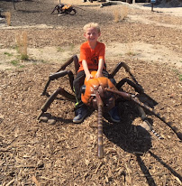 Priority Termite & Pest Control Inc - Photo 6 - Car repair in Omaha, NE, Omaha