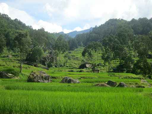 Travel Agency «SkyPath Travel», reviews and photos, 4221 NW 126th Ave, Portland, OR 97229, USA