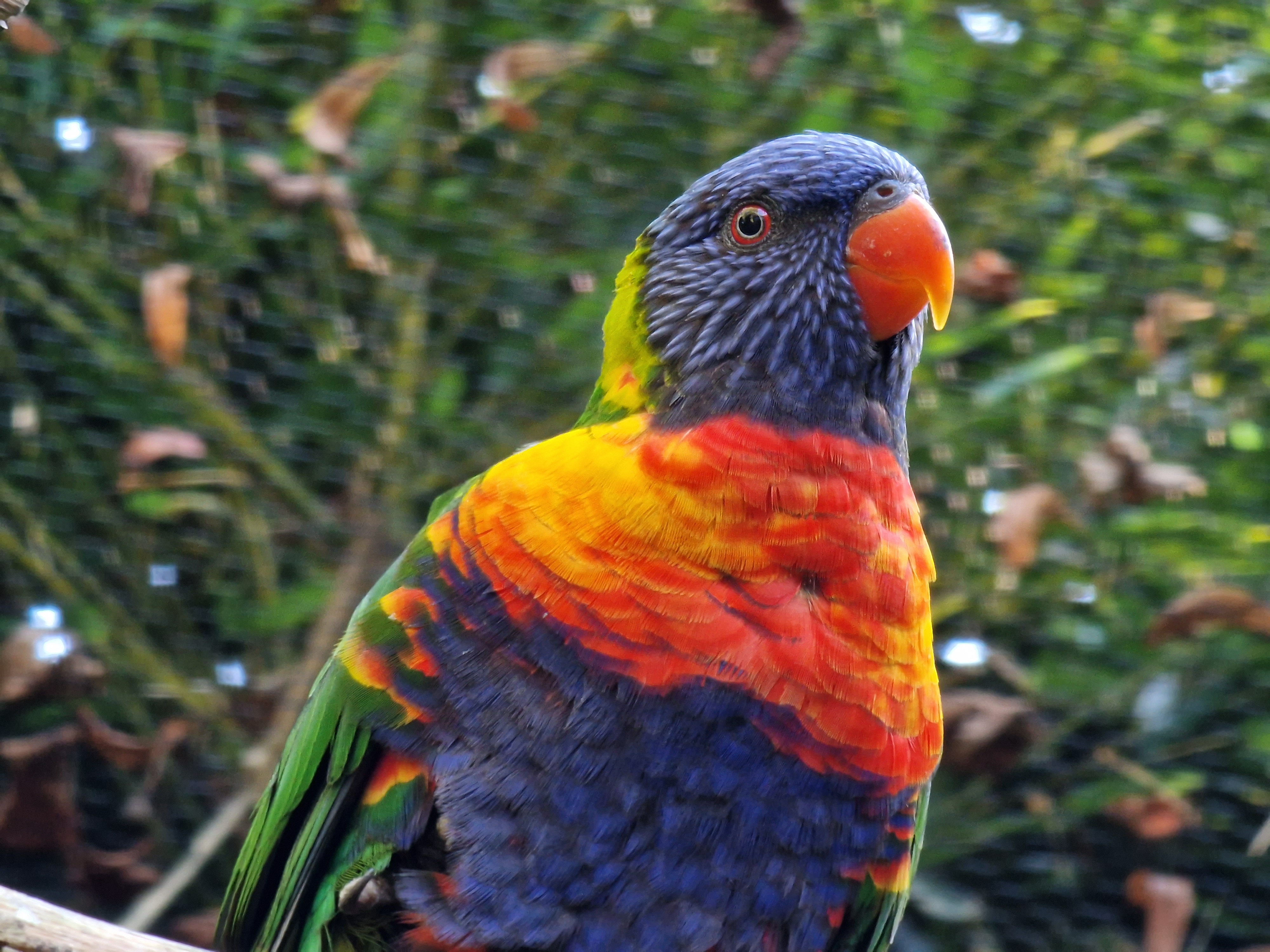 Photo n° 2 de l'avis de Brice.s fait le 19/10/2022 à 16:34