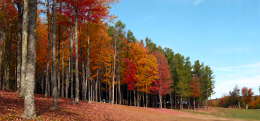 Golf Course «Tall Pines Players Club», reviews and photos, 558 Friendsville Hill Rd, Friendsville, PA 18818, USA