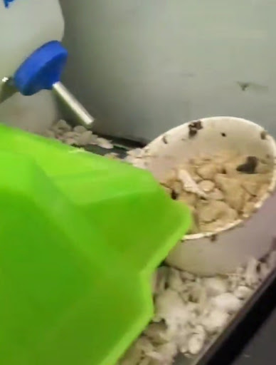 Pet Supply Store «Petco Animal Supplies», reviews and photos, 3194 FM407, Highland Village, TX 75077, USA