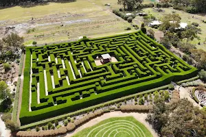 Giant Hedge Maze image