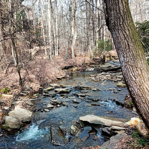 Autrey Mill Nature Preserve & Heritage Center image 6