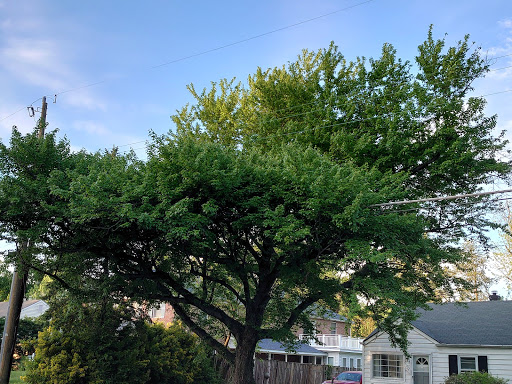 Grocery Store «Safeway», reviews and photos, 1688 Anderson Rd, McLean, VA 22102, USA