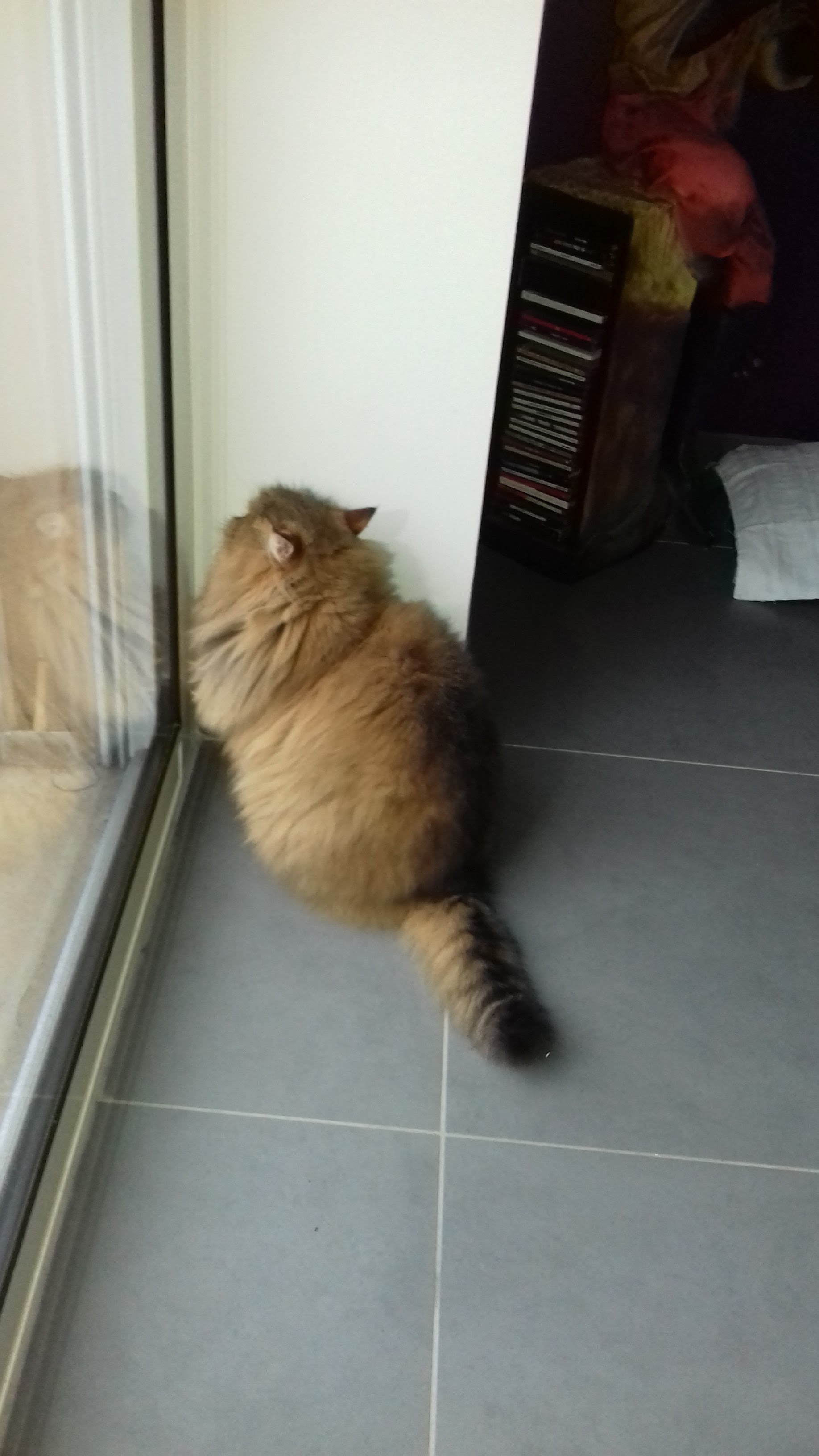 Photo n° 2 de l'avis de luc.a fait le 10/07/2018 à 15:06