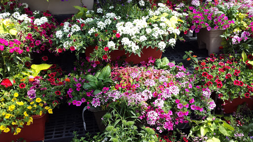 Garden Center «Walker Farms», reviews and photos, 5253 E Atherton Rd, Burton, MI 48519, USA