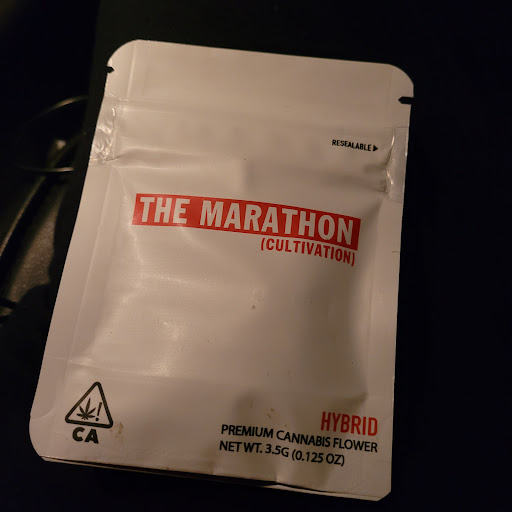 Explore crazy tattoo ideas, creative tattoo ideas in Portsmouth, available at World Famous Blue Horseshoe Tattoo and Piercing