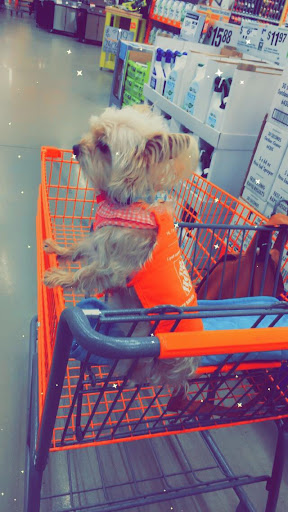 Home Improvement Store «The Home Depot», reviews and photos, 2731 Hartigan Rd, Ingleside, IL 60041, USA