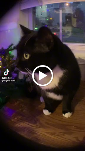 Drug Store «Walgreens», reviews and photos, 9 N Union St, Aurora, IL 60505, USA