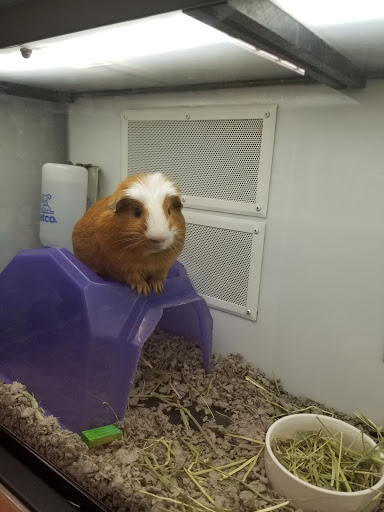 Pet Supply Store «Petco Animal Supplies», reviews and photos, 891 NE D St, Grants Pass, OR 97526, USA