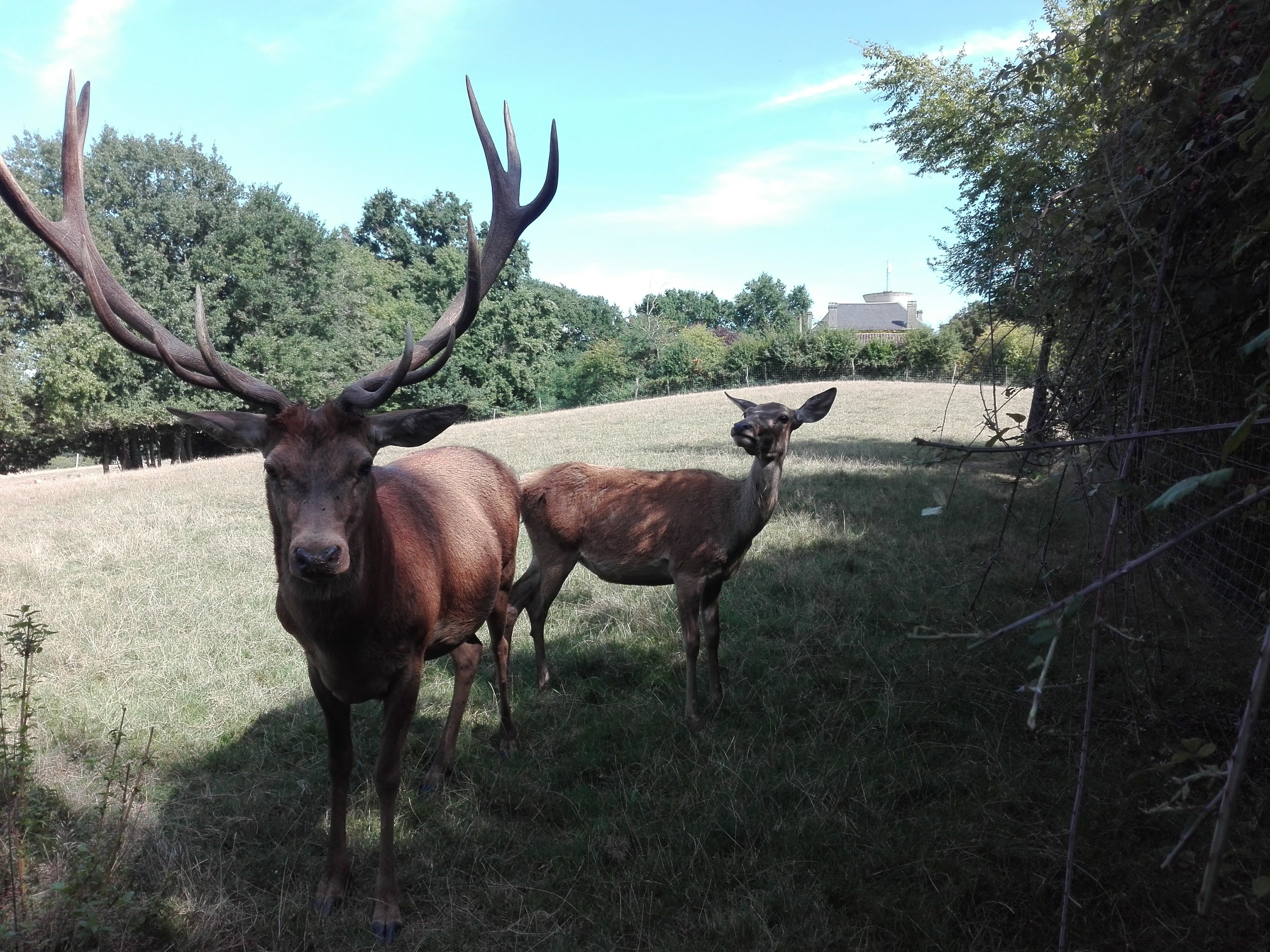 Photo n° 1 de l'avis de Thierry.a fait le 30/08/2019 à 13:42
