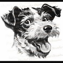 Premier Paws - Photo 2 - Car repair in North Richland Hills, TX, Fort Worth