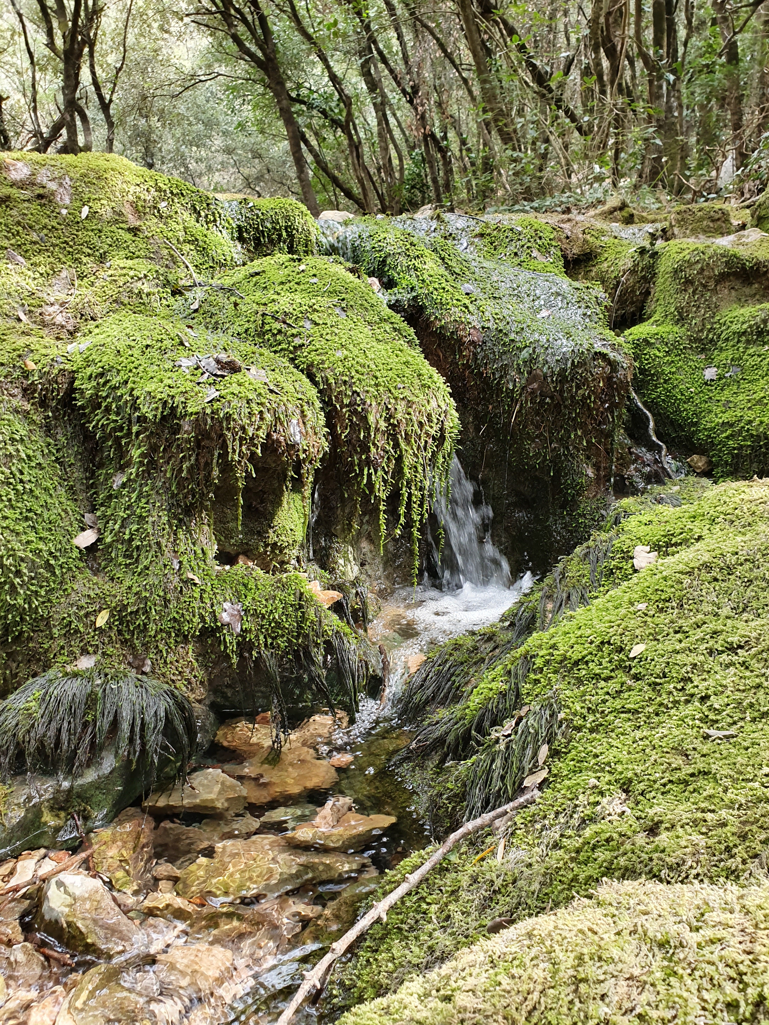 Photo n° 2 de l'avis de Vale.e fait le 04/10/2019 à 16:15