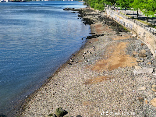 Park «Astoria Park», reviews and photos, 19 19th St, Queens, NY 11105, USA