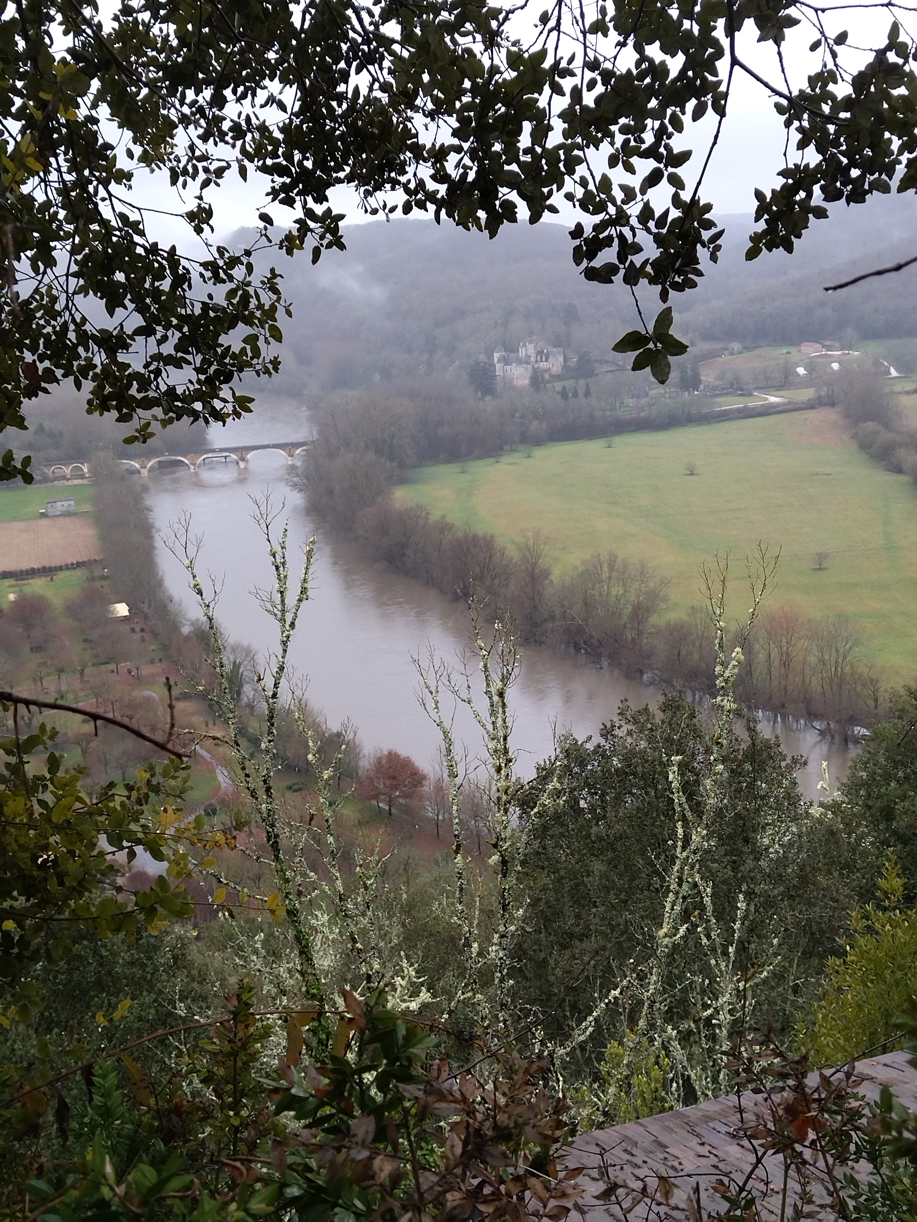 Photo n° 14 de l'avis de Franck.e fait le 29/12/2021 à 13:16