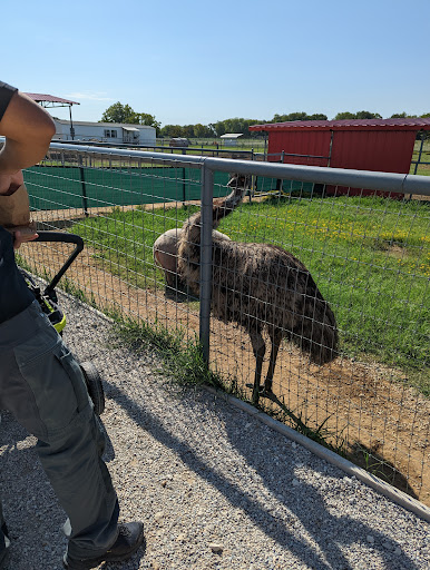 Ranch «Sharkarosa Wildlife Ranch», reviews and photos, 11670 Massey Rd, Pilot Point, TX 76258, USA