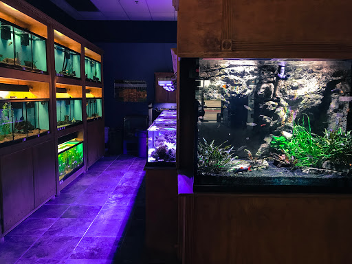 Aquarium «Aquarium Advantage», reviews and photos, 2995 Preston Rd #1520, Frisco, TX 75034, USA