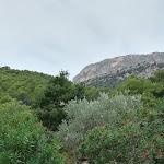 Photo n° 1 de l'avis de Erwin.a fait le 28/08/2022 à 18:28 pour Mas de la Baume à Lafare