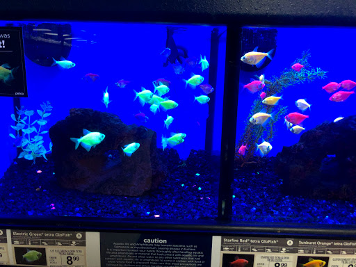 Pet Supply Store «Petco Animal Supplies», reviews and photos, 1919 El Camino Real, Mountain View, CA 94040, USA