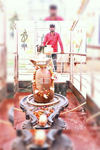 Shree Krishna Hotel - Restaurant in Toda Kareree , India