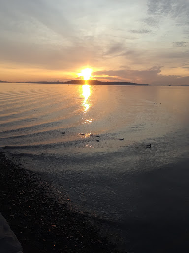 Park «Marine Park», reviews and photos, 49 Farragut Rd, Boston, MA 02127, USA