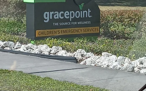 Gracepoint Healthcare image
