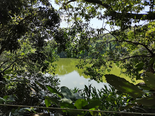 Eco Park Lake Las Garzas