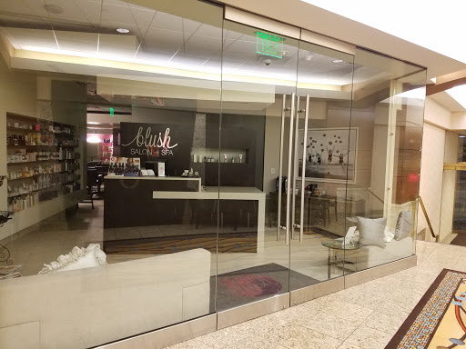 Day Spa «Blush Salon + Spa», reviews and photos, 100 W Michigan Ave, Kalamazoo, MI 49007, USA