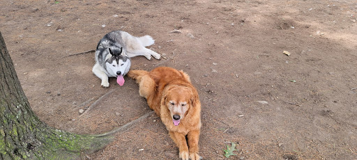 Dog Park «Beverly Dog Park», reviews and photos, L P Henderson Rd, Beverly, MA 01915, USA