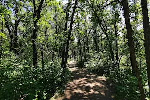 Seine River Greenway’s Trail image