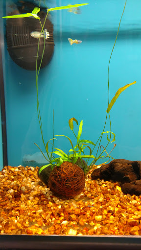 Pet Supply Store «Petco Animal Supplies», reviews and photos, 195 E 12300 S, Draper, UT 84020, USA