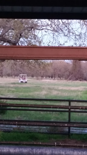 Caltex Gun Barn, 2720 Pear Orchard Rd, Granbury, TX 76048, USA, 