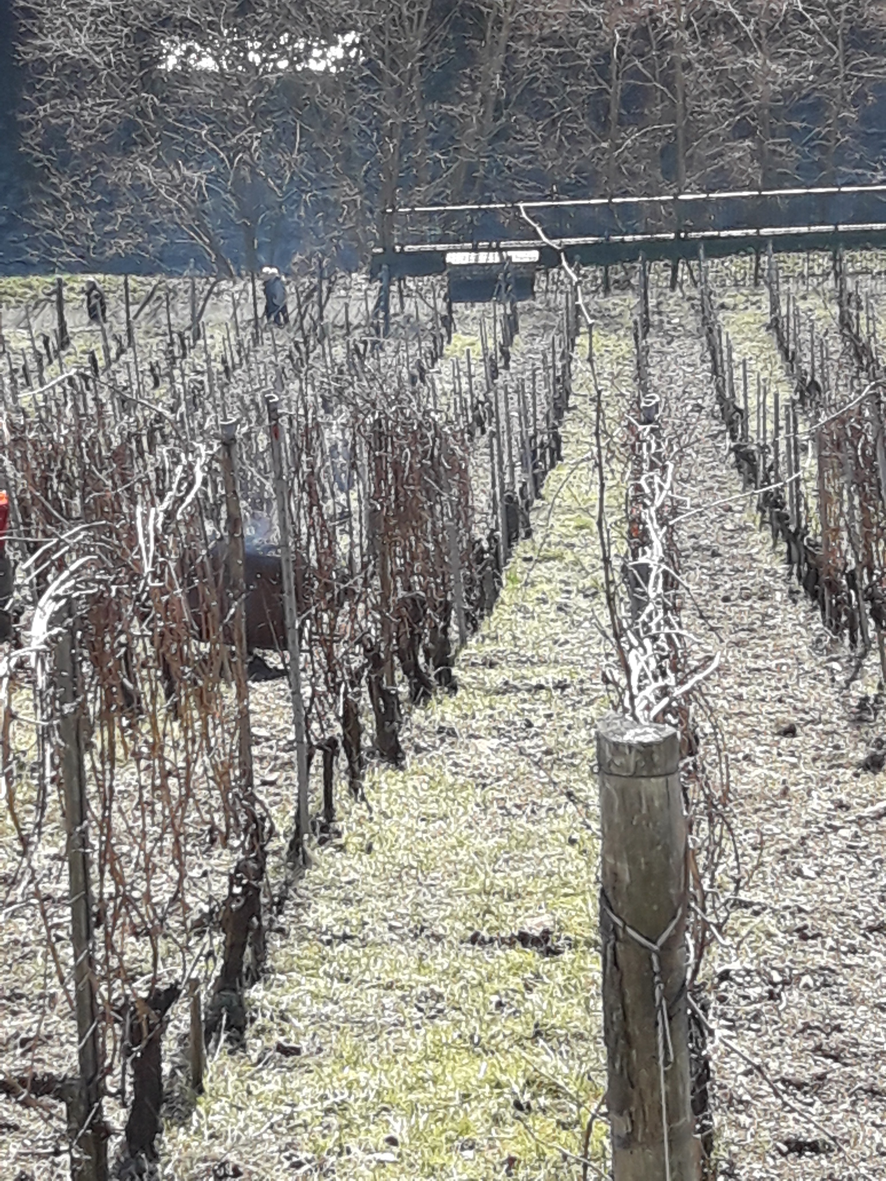 Photo n° 1 de l'avis de José.o fait le 15/02/2019 à 15:16